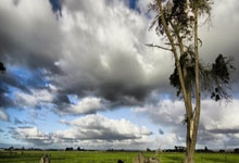 “毒潮涌动：470万颗冰毒坠河，泰运毒车逃逸事件震惊全国”