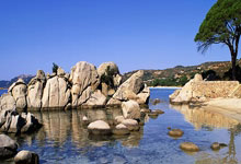 “毒潮涌动：470万颗冰毒坠河，泰运毒车逃逸事件震惊全国”